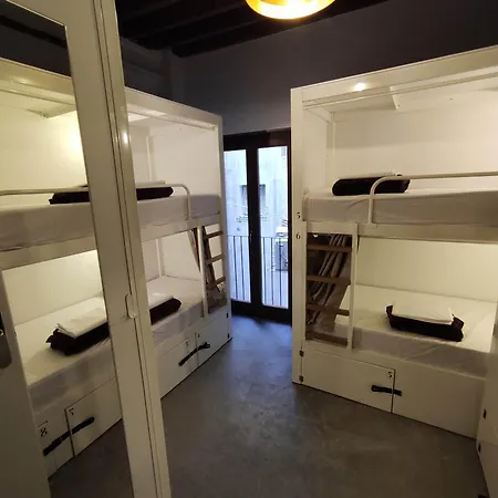 Black Swan Hostel
