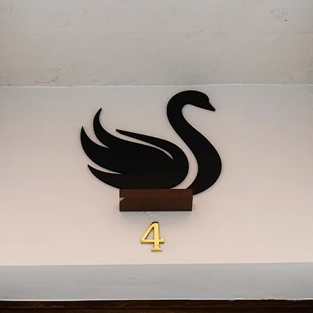 旅馆 Black Swan *