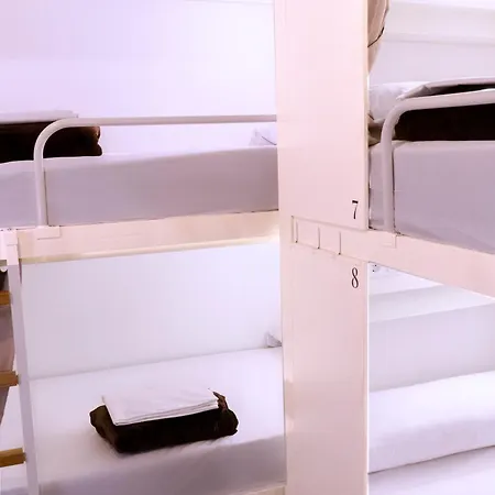 بيت شباب Black Swan