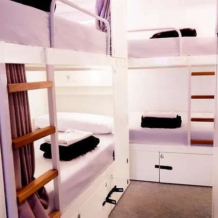 Vandrerhjem Black Swan