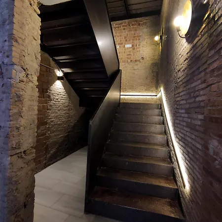 Black Swan بيت شباب