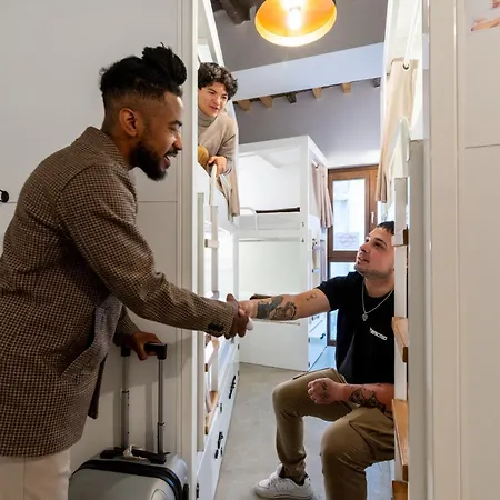 بيت شباب Black Swan