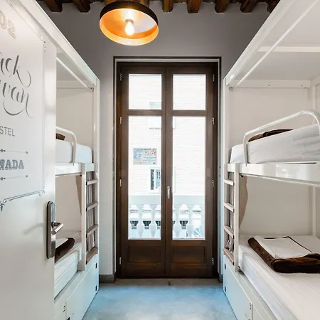 Vandrerhjem Black Swan