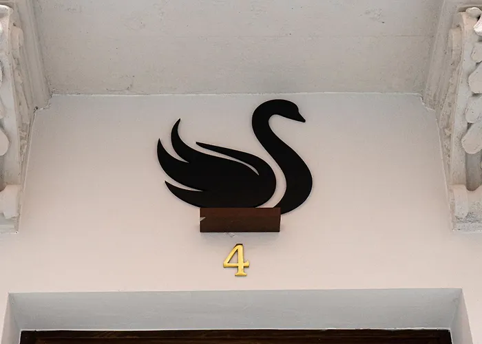 Hostel Black Swan *