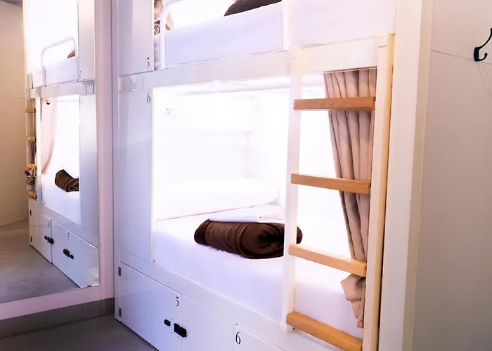 Black Swan Хостел