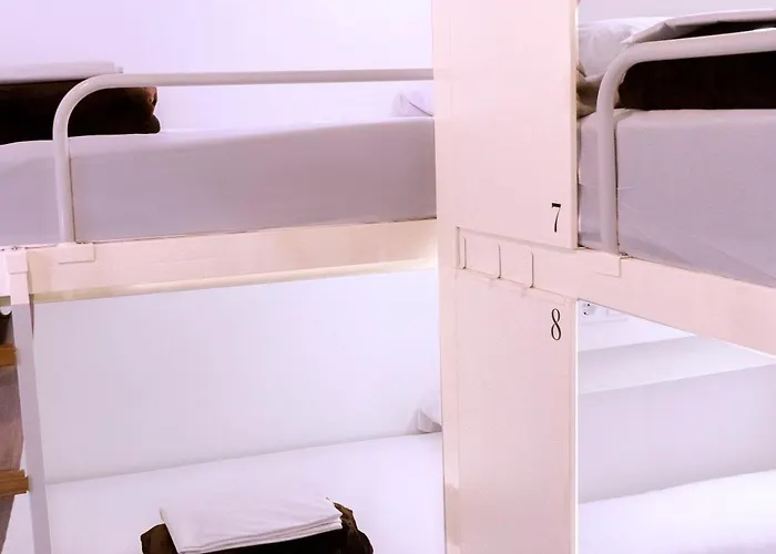 Hostel Black Swan