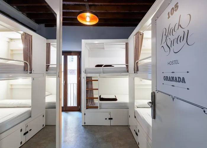 Hostel Black Swan Granada