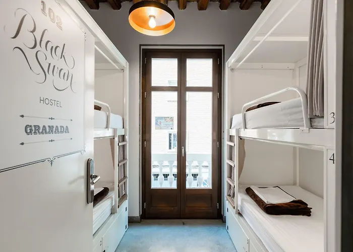 Hostel Black Swan