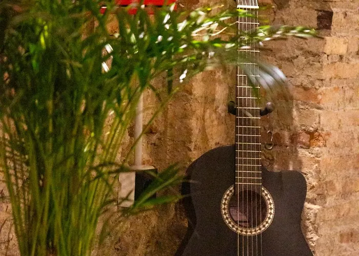 Black Swan Hostel