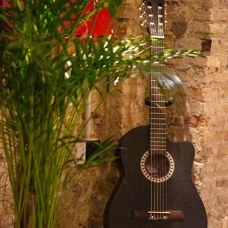 Black Swan Hostel