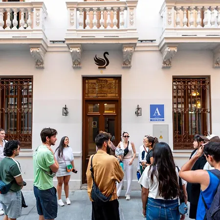 Hostel Black Swan Granada